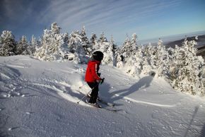 Information about the ski resort Sugarbush Resort