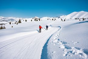 You will find many cross-country ski trails.