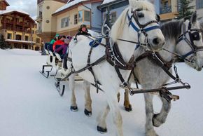 From dog sled tours to horse drawn sleigh rides, Sun Peaks offers unique experiences and activities for every age group.