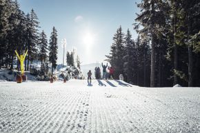 Information about the ski resort Schmitten - Zell am See