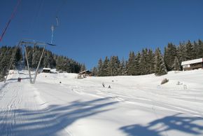 Information about the ski resort SchneeSelital