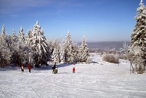 The Rotterhang slope is perfect for beginners and children.
