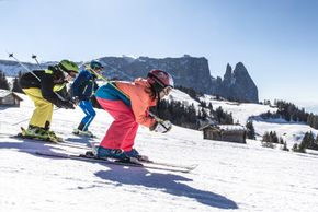 Information about the ski resort Seiser Alm