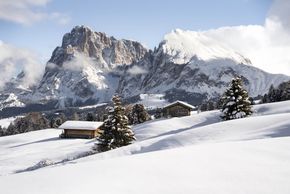 Information about the ski resort Seiser Alm