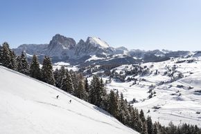 Information about the ski resort Seiser Alm