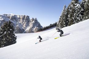 Information about the ski resort Seiser Alm