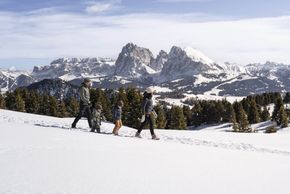 Information about the ski resort Seiser Alm