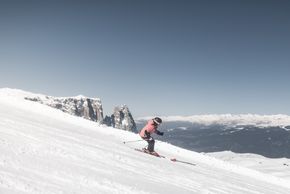 Information about the ski resort Seiser Alm