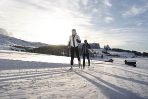 Information about the ski resort Seiser Alm