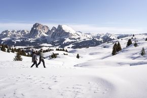 Information about the ski resort Seiser Alm