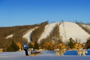 Information about the ski resort Shanty Creek Resort