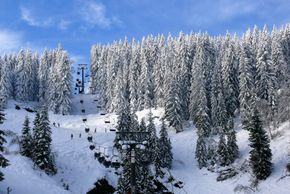 Information about the ski resort Silbersattel Steinach