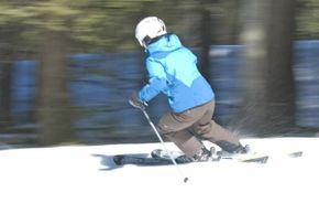 Information about the ski resort Ski Butternut