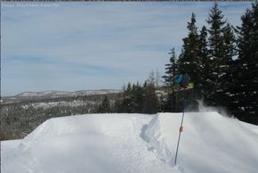 Information about the ski resort Ski Martock