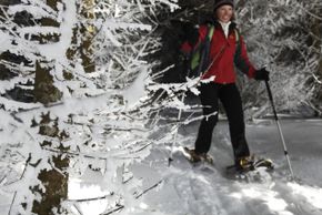 Information about the ski resort Skilift Rothaus