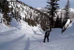 There are a lot of broad and large trails in Solitdue