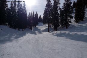 Information about the ski resort Solitude