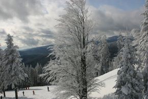 Information about the ski resort Spicak Zelezna Ruda