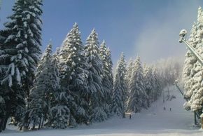 Information about the ski resort Spicak Zelezna Ruda