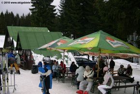 Information about the ski resort Spicak Zelezna Ruda