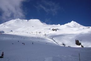 Information about the ski resort Turoa Mt Ruapehu
