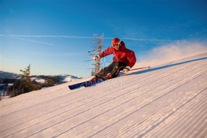 Information about the ski resort Tamarack Resort