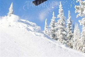 Information about the ski resort Tamarack Resort