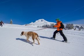 Bring your own snowshoes or rent them from Timberline to enjoy groomed snowshoeing trails around the lodge.