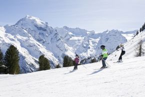 Information about the ski resort Trafoi