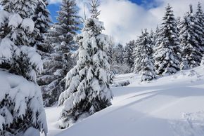 Information about the ski resort Unterberg