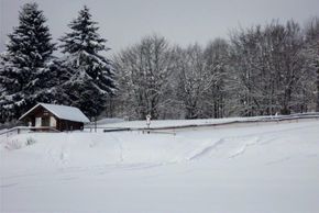 Information about the ski resort Vesser