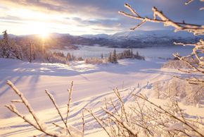 Information about the ski resort Voss Resort Fjellheisar