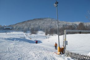 Information about the ski resort Waltersdorf