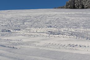 Information about the ski resort Wasserfall Fort Fun