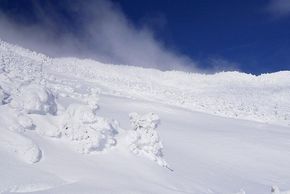 You can look forward to perfect snow conditions.