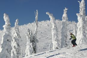 Information about the ski resort Whitefish Mountain Resort