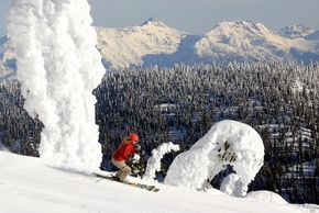 Information about the ski resort Whitefish Mountain Resort