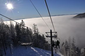Information about the ski resort Whitefish Mountain Resort