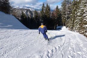Information about the ski resort Wildalpen