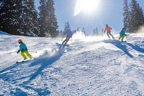 Information about the ski resort Wildhaus