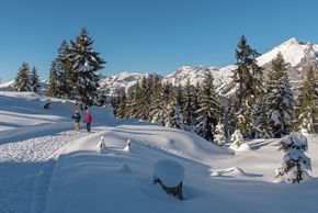 Information about the ski resort Wildhaus