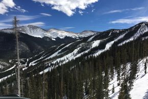 View of the Mary Jane territory, which is popular among both locals and tourists for its bumps and tree skiing opportunities.