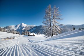 Information about the ski resort Zauchensee