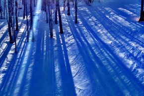 © www.cataloochee.com