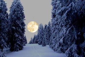 Ein Erlebnis: Vollmond Schneeschuhtouren auf Brambrüesch