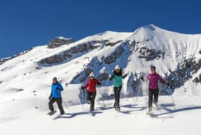 Schneeschuhtour auf dem Hochplateau der Engstligenalp