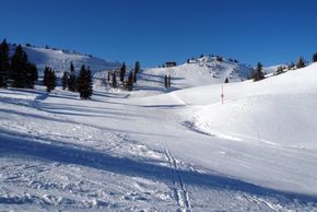 Detaillierte Infos zum Skiurlaub im Skigebiet Alta