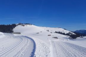 Detaillierte Infos zum Skiurlaub im Skigebiet Almenwelt Lofer