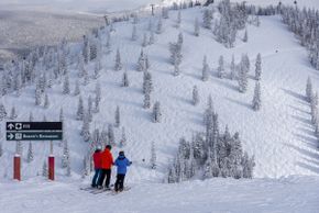Bonnie's Restaurant - immer eine gute Wahl