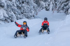 Die sechs Kilometer lange Rodelbahn in See zählt zu den schönsten der Region.